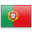 European Portuguese flag
